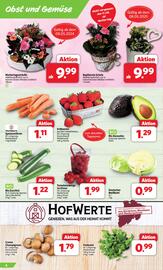 Markant Markt Prospekt woche 19 Seite 4