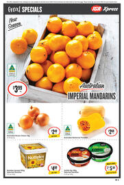 IGA catalogue week 19 Page 4