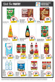 IGA catalogue week 19 Page 6