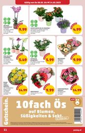 PENNY Flugblatt woche 19 Seite 11