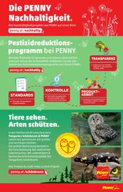 PENNY Flugblatt woche 19 Seite 29