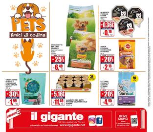 Volantino Il Gigante Pagina 38