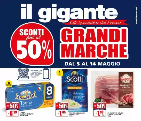 Volantino Il Gigante