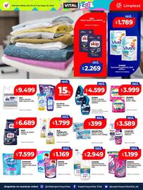 Catálogo Supermayorista Vital semana 19 Página 10