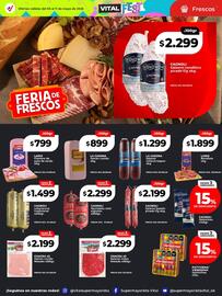 Catálogo Supermayorista Vital semana 19 Página 28