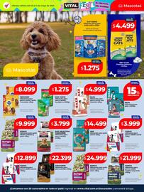 Catálogo Supermayorista Vital semana 19 Página 32