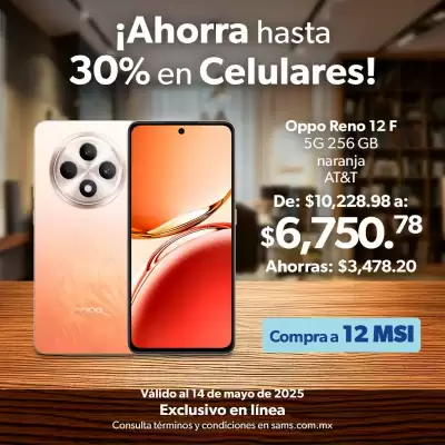 Catálogo Sam's Club (válido hasta 5-05)