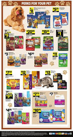 Dollar General Weekly Ad week 19 Page 15