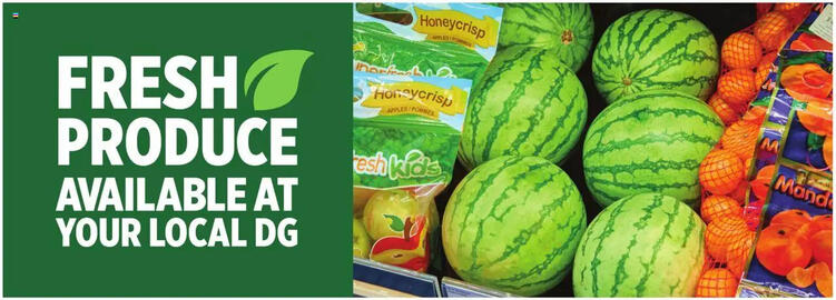 Dollar General Weekly Ad week 19 Page 6