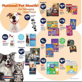Family Dollar Weekly Ad week 19 Page 15