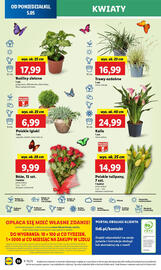 Lidl gazetka Strona 64