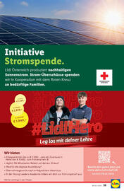 Lidl Flugblatt woche 19 Seite 39