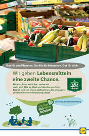 Lidl Flugblatt woche 19 Seite 46