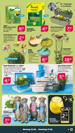 NETTO Prospekt woche 20 Seite 17
