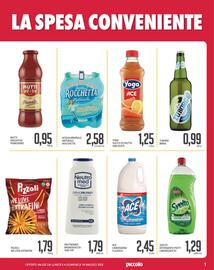 Volantino Supermercati Piccolo Pagina 3