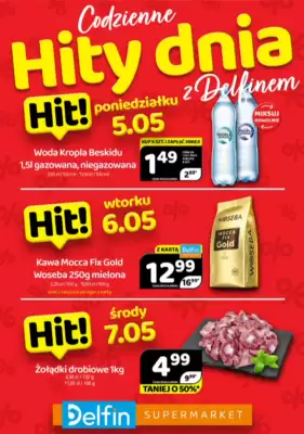 Delfin gazetka (ważność do 7-05)