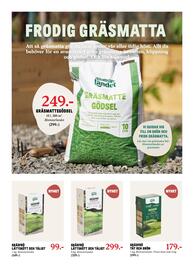 Blomsterlandet reklamblad vecka 19 Sida 10