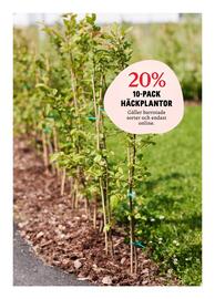 Blomsterlandet reklamblad vecka 19 Sida 11