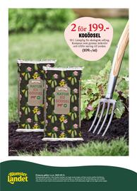 Blomsterlandet reklamblad vecka 19 Sida 12