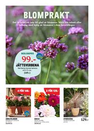 Blomsterlandet reklamblad vecka 19 Sida 2