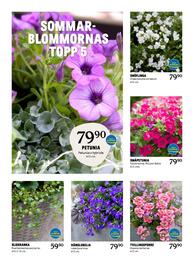 Blomsterlandet reklamblad vecka 19 Sida 4