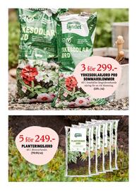 Blomsterlandet reklamblad vecka 19 Sida 5