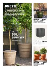 Blomsterlandet reklamblad vecka 19 Sida 7