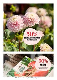 Blomsterlandet reklamblad vecka 19 Sida 8