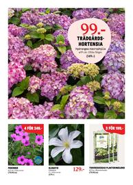 Blomsterlandet reklamblad vecka 19 Sida 9