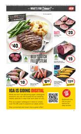 IGA catalogue week 19 Page 8