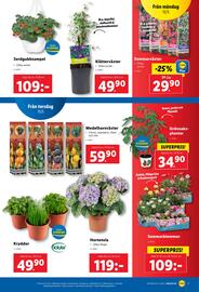 Lidl reklamblad vecka 20 Sida 21