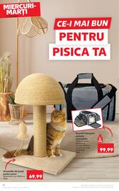 Catalog Kaufland săptămâna 19 Pagină 12