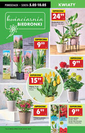 Biedronka gazetka tydzień 19 Strona 67