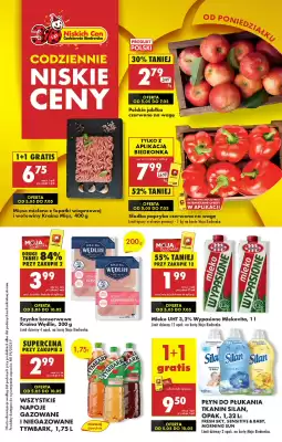 Biedronka gazetka (ważność do 10-05)