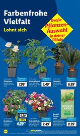 Lidl Prospekt woche 20 Seite 14