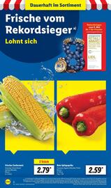 Lidl Prospekt woche 20 Seite 2
