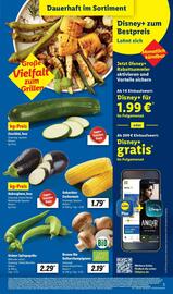 Lidl Prospekt woche 20 Seite 3