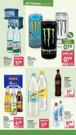 Wasgau Prospekt woche 19 Seite 19