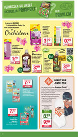 Wasgau Prospekt woche 19 Seite 20