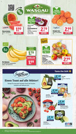 Wasgau Prospekt woche 19 Seite 8