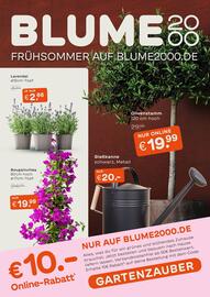 Blume 2000 Prospekt Seite 1