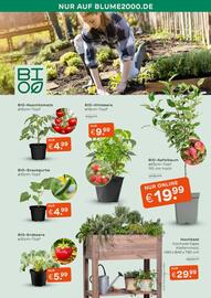 Blume 2000 Prospekt Seite 3