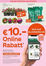 Blume 2000 Prospekt Seite 6