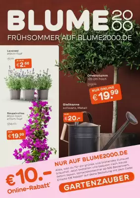 Blume 2000 Prospekt (gültig bis 25-05)