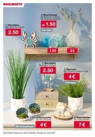 Woolworth Prospekt Seite 24