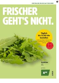 Eurogast Grissemann Flugblatt Seite 3