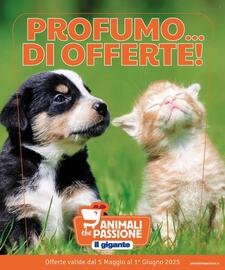 Volantino Il Gigante Pagina 1