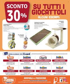 Volantino Il Gigante Pagina 8