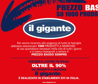 Volantino Il Gigante Pagina 2