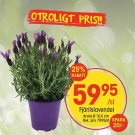EKO reklamblad Sida 16